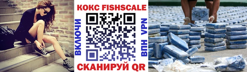 Купить  Губкин  COCAIN 97% 