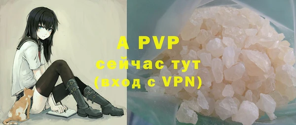 твердый Иннополис