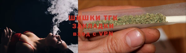 твердый Инсар
