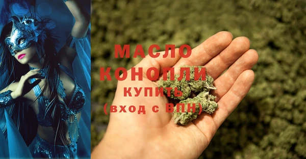 твердый Инсар