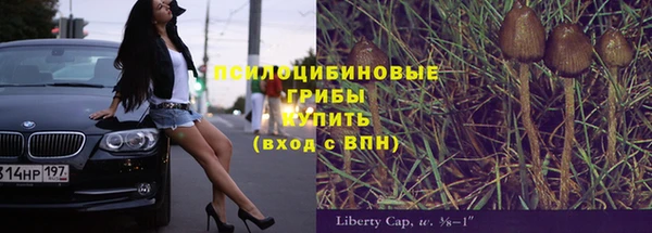 твердый Иннополис