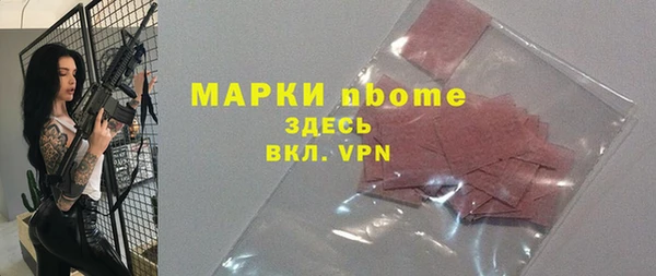 твердый Инсар