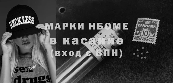 твердый Инсар
