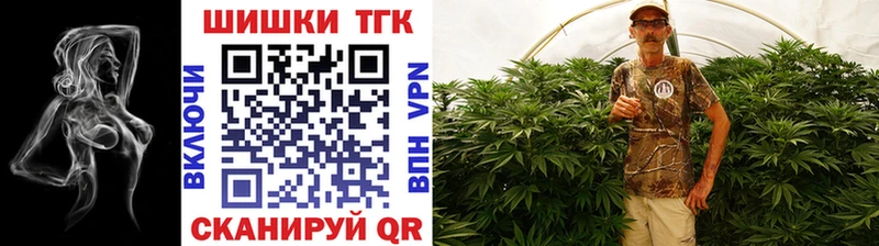 Купить где  Губкин  Бошки Шишки THC 21% 